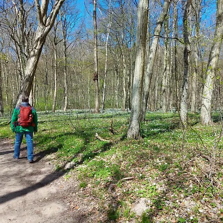 An Der Brunnenaue 4 Sterne, E-ladestation Am Haus, Wlan, Netflix, Garten סגרד