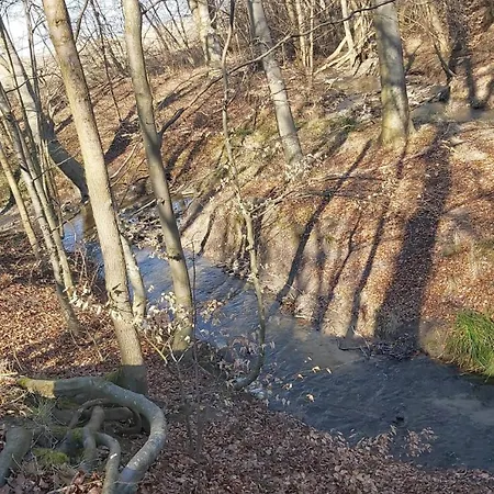 An Der Brunnenaue 4 Sterne, E-ladestation Am Haus, Wlan, Netflix, Garten * סגרד