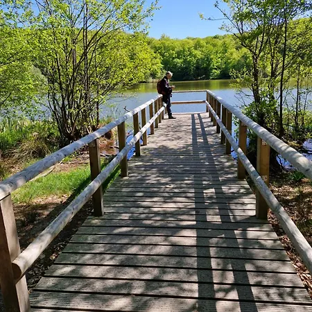 An Der Brunnenaue 4 Sterne, E-ladestation Am Haus, Wlan, Netflix, Garten * Sagard