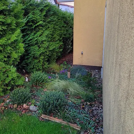 An Der Brunnenaue 4 Sterne, E-ladestation Am Haus, Wlan, Netflix, Garten Дом отдыха *