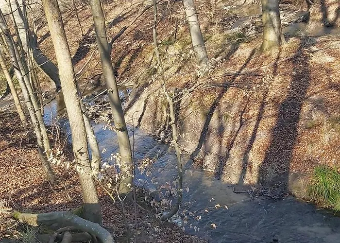 An Der Brunnenaue 4 Sterne, E-ladestation Am Haus, Wlan, Netflix, Garten * Загард