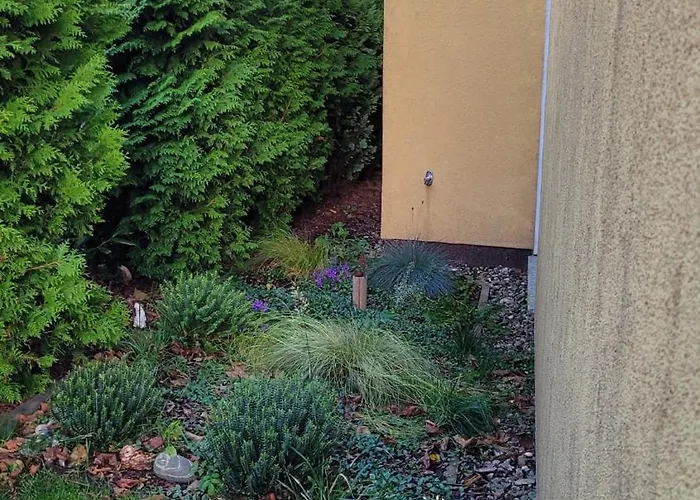 An Der Brunnenaue 4 Sterne, E-ladestation Am Haus, Wlan, Netflix, Garten Дом отдыха *