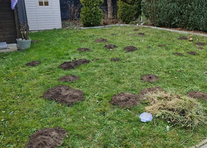Дом отдыха An Der Brunnenaue 4 Sterne, E-ladestation Am Haus, Wlan, Netflix, Garten